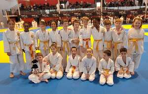 2ème TOURNOI DES PETITS TIGRES, dimanche 15 mars 2026
