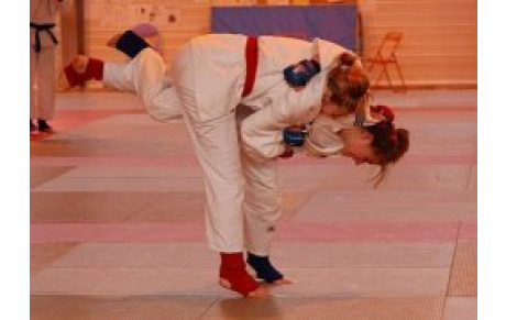 Open Jujitsu Nantes