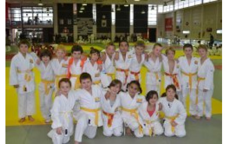 Petits Tigres