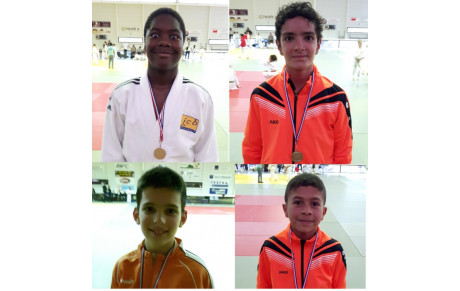 Championnat Départemental Benjamins