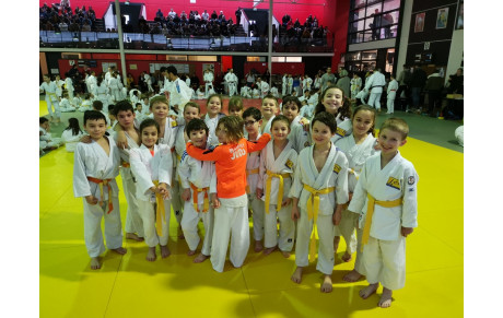 Petits Tigres 2019-2020