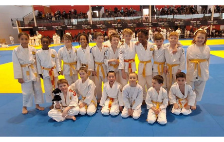 2ème TOURNOI DES PETITS TIGRES, dimanche 15 mars 2026